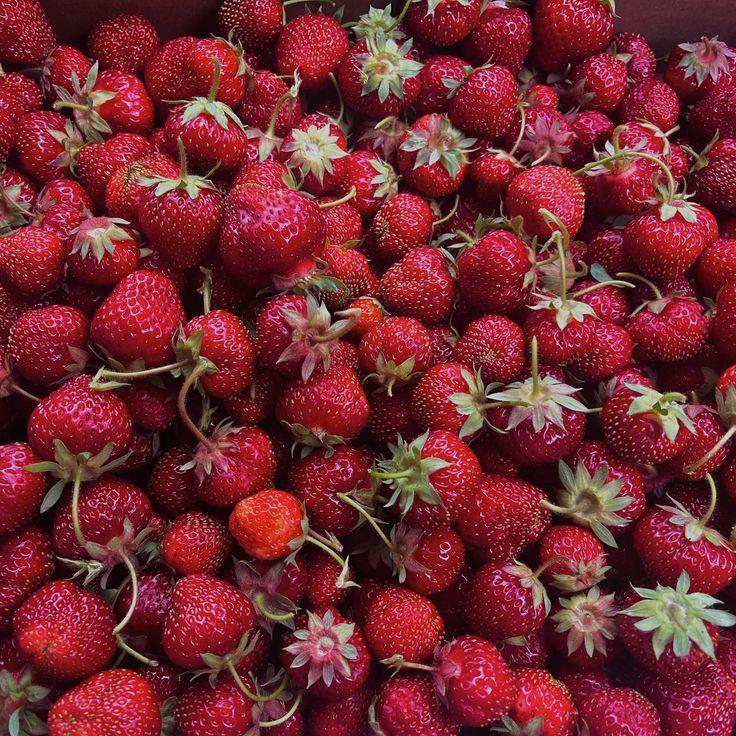 Rustic Berry Harvest: Countryside Natural Gems